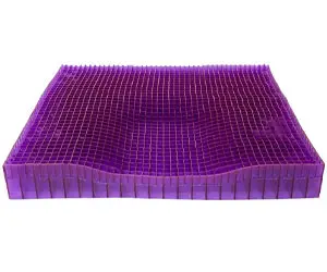 Purple Ultimate Seat Cushion Review